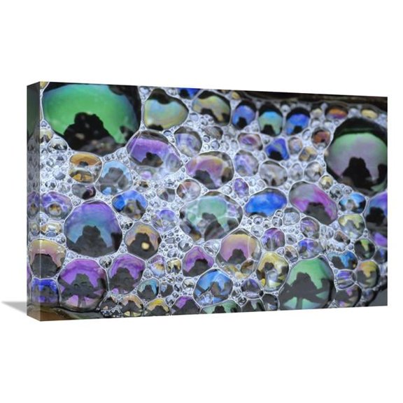 16 x 24 in. Detail of Rainbow-Colored Bubbles, California Art Print - Tim Fitzharris