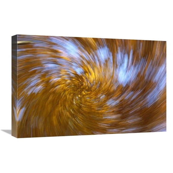 16 x 24 in. European Beech Abstract of Autumn Colors, Germany Art Print - Konrad Wothe