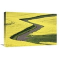 thumbnail image 1 of 16 x 24 in. Field Mustard Fields & Road, France Art Print - Cyril Ruoso, 1 of 1