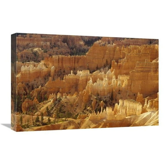 16 x 24 in. Hoodoos Formations From Sunrise Point, Bryce Canyon National Park, Utah Art Print - Gerry Ellis