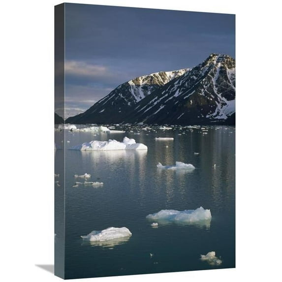 16 x 24 in. Ice Floes in Evening Light, Spitsbergen Island, Svalbard, Norway Art Print - Tui De Roy