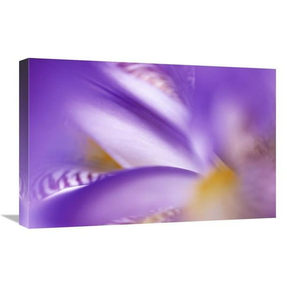 16 x 24 in. Iris Abstract Close Up Art Print - Jan Vermeer