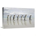 thumbnail image 1 of 16 x 24 in. King Penguin Group Walking on Beach, Volunteer Point, Falkland Islands Art Print - Ingo Arndt, 1 of 1