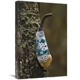 thumbnail image 1 of 16 x 24 in. Lantern Bug, North Andaman Islands, India Art Print - Konrad Wothe, 1 of 1