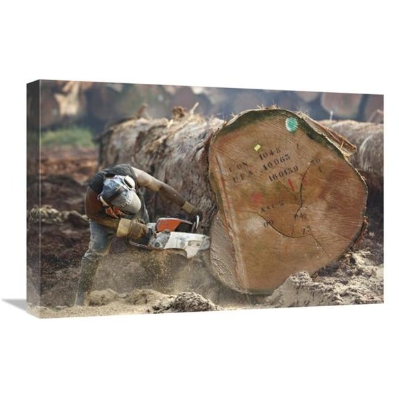 16 x 24 in. Logger Cutting Trunk of Rainforest Tree, Cameroon Art Print - Cyril Ruoso