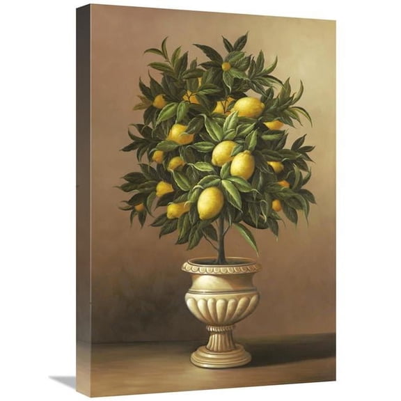 16 x 24 in. Potted Lemon Tree Art Print - Welby