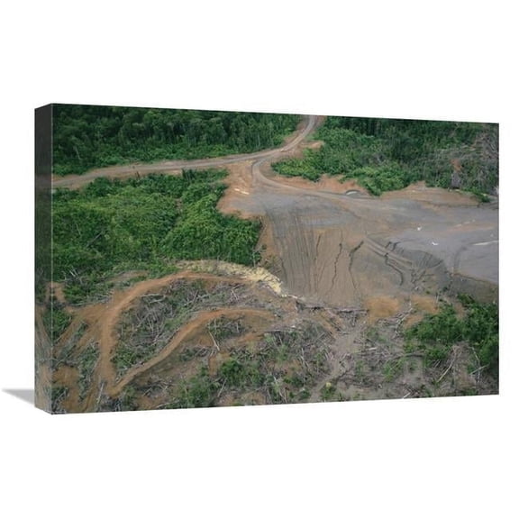 16 x 24 in. Rainforest Logging Activities Near Eastern Boundary of the Kikori Delta, Papua New Guinea Art Print - Gerry Ellis