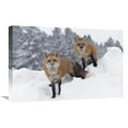 thumbnail image 1 of 16 x 24 in. Red Fox Pair in Snow Fall Showing the Black & Red Markings of Their Cross Phase, Montana Art Print - Tim Fitzharris, 1 of 1