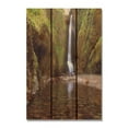 thumbnail image 1 of 16 x 24 in. Reflection Falls Inside & Outside wood Wall Art, 1 of 1