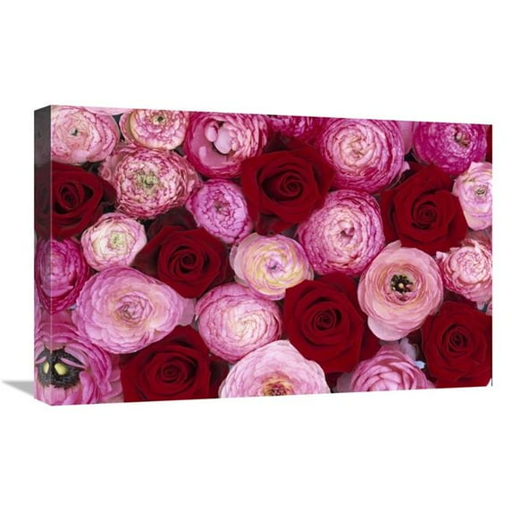 16 x 24 in. Rose Flowers & Buttercup Flowers Art Print - Jan Vermeer