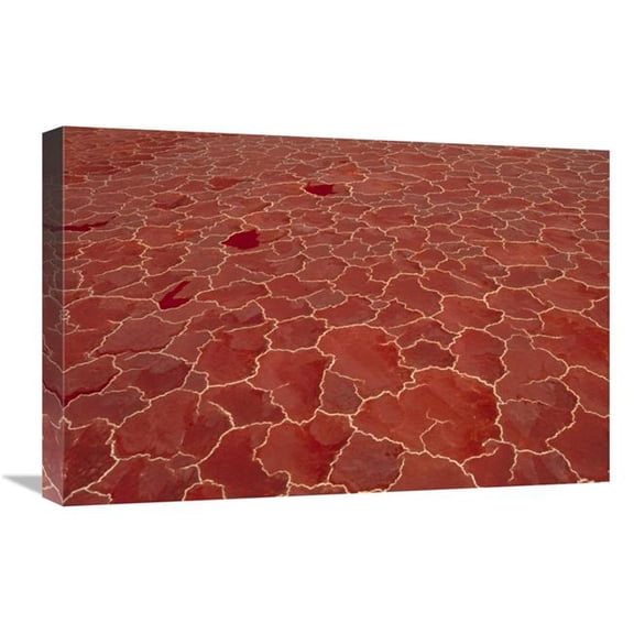 16 x 24 in. Soda & Algae Formation on Surface of Lake Natron, Great Rift Valley, Tanzania Art Print - Gerry Ellis