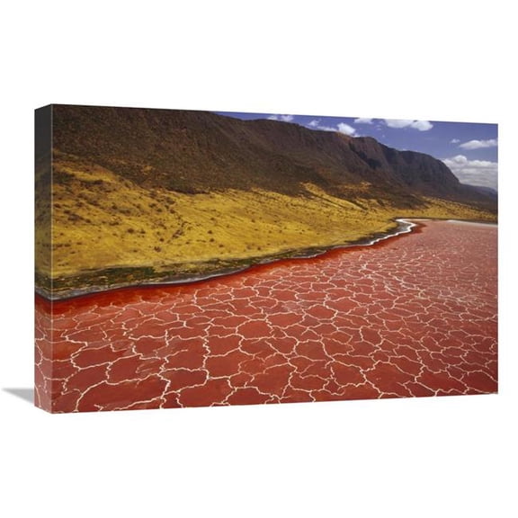 16 x 24 in. Soda Formations on the Surface of Lake Natron, Tanzania, East Africa Art Print - Gerry Ellis