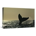 thumbnail image 1 of 16 x 24 in. Southern Right Whale Tail Slap At Sunset, Valdes Peninsula, Argentina Art Print - Hiroya Minakuchi, 1 of 1