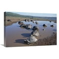 thumbnail image 1 of 16 x 24 in. Volcan Alcedo Giant Tortoise Wallowing, Alcedo Volcano, Galapagos Islands Art Print - Tui De Roy, 1 of 1