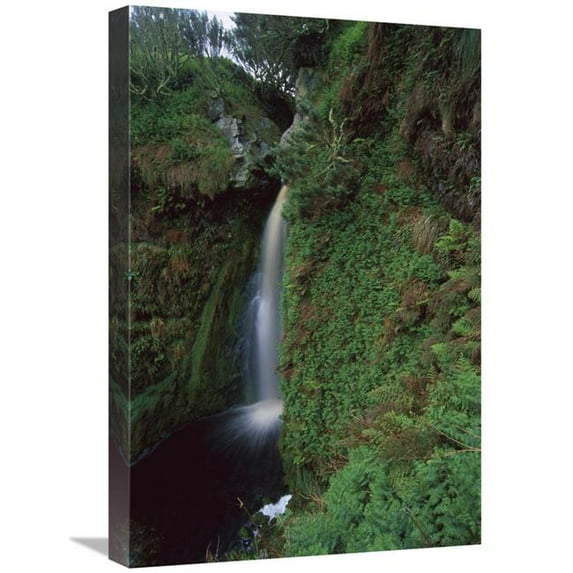16 x 24 in. Waterfall Draining Rain-Drenched Coastal Plateau, Gough Island, South Atlantic Art Print - Tui De Roy