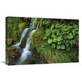 thumbnail image 1 of 16 x 24 in. Waterfall, Egmont National Park, Taranaki, New Zealand Art Print - Shaun Barnett, 1 of 1