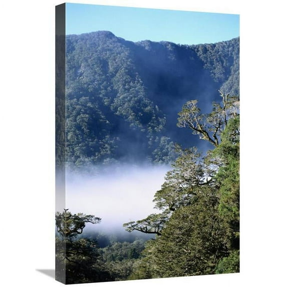 16 x 24 in. West Coast Forest, Haast River Valley, Mt Aspiring NP, New Zealand Art Print - Tui De Roy