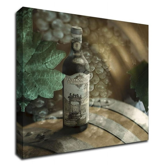 16"x16" Montepulciano Vineyard 2 by Alan Blaustein- Print on Canvas Fabric Green