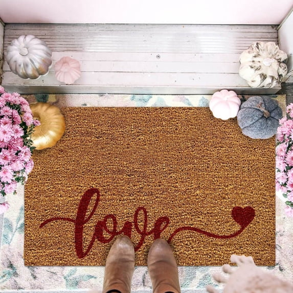 16"x24" DYTTDG Outdoor Rug Valentine's Day Decoration Door Mat Antislip Indoor Outdoor Front Door Bathroom Entrance Mat Carpet Carpet on Clearance