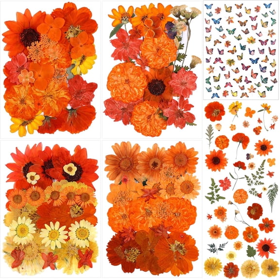 160 Pcs Orange Dried Pressed Flowers with Butterfly Sticker Set Pressing Floral Craft for Resin Spring Fall Dried Pressed Flowers DIY Mold Jewelry Floral Decors Making Nail Art