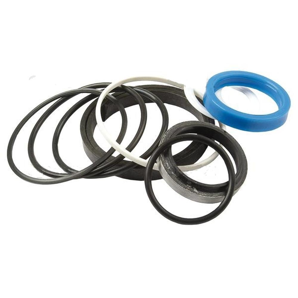 RAParts 1606532M94 New Tilt Seal Kit Fits Massey Ferguson MF Forklift