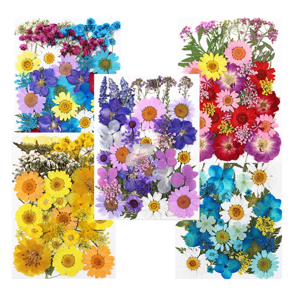 160PCS Dried Pressed Flowers for Resin Craft - Real Nature Flowers Set with Butterfly Stickers for DIY Jewelry Nail Scrapbook Art Floral Decors Iridescent
