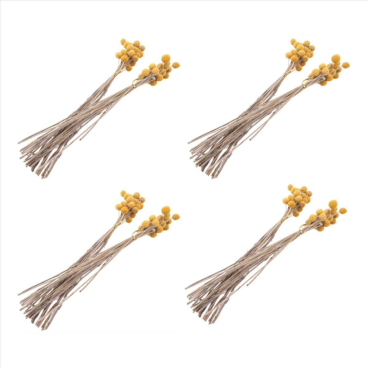 160Pcs Dried Craspedia Flowers Dried Button Balls Flowers,Dried Flower Bouquet for Arrangements Wedding Home Decor