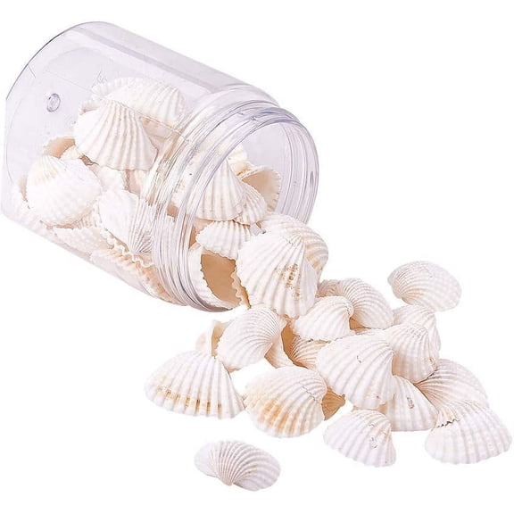160g White Natural Conch Shell Beads Undrilled/No Hole Tiny Scallop Sea Shells Ocean Beach Seashells Craft Charms