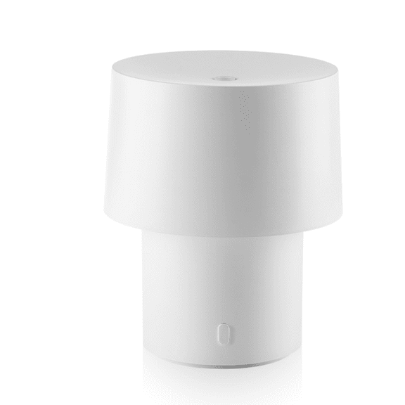 160mL Retro Mushroom Essential Oil Diffuser, USB Ultrasonic Diffuser & Cool Mist Humidifier with Ambient Desk Lamp, Auto Power-Off, Type-C Quiet Air Humidifier for Bedroom Office Home