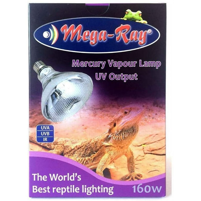 Mercury outlet vapour bulb