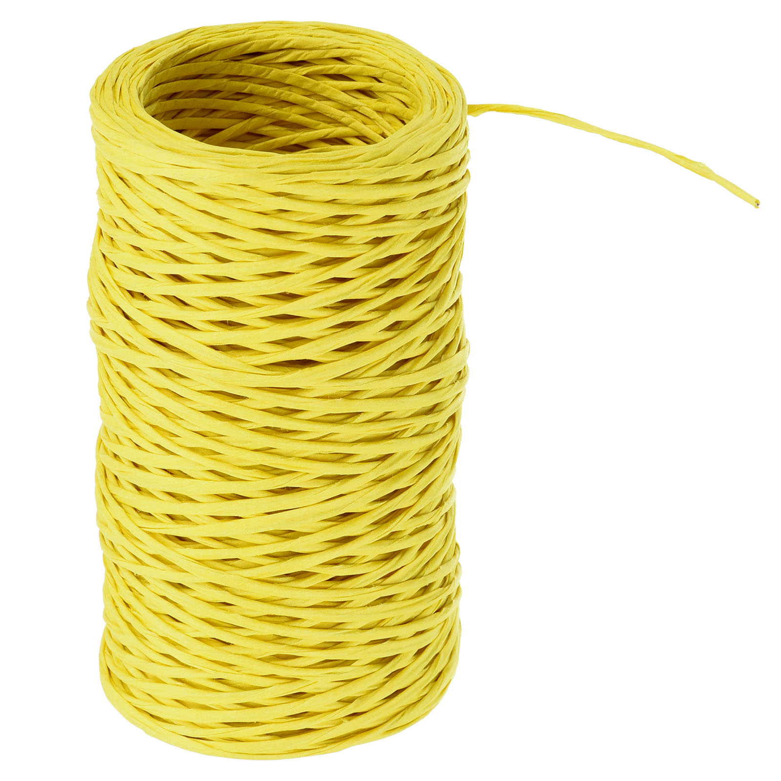 164Ft Floral Bind Wire Wrap Twine 1mm Florist Wire Iron Wire Paper