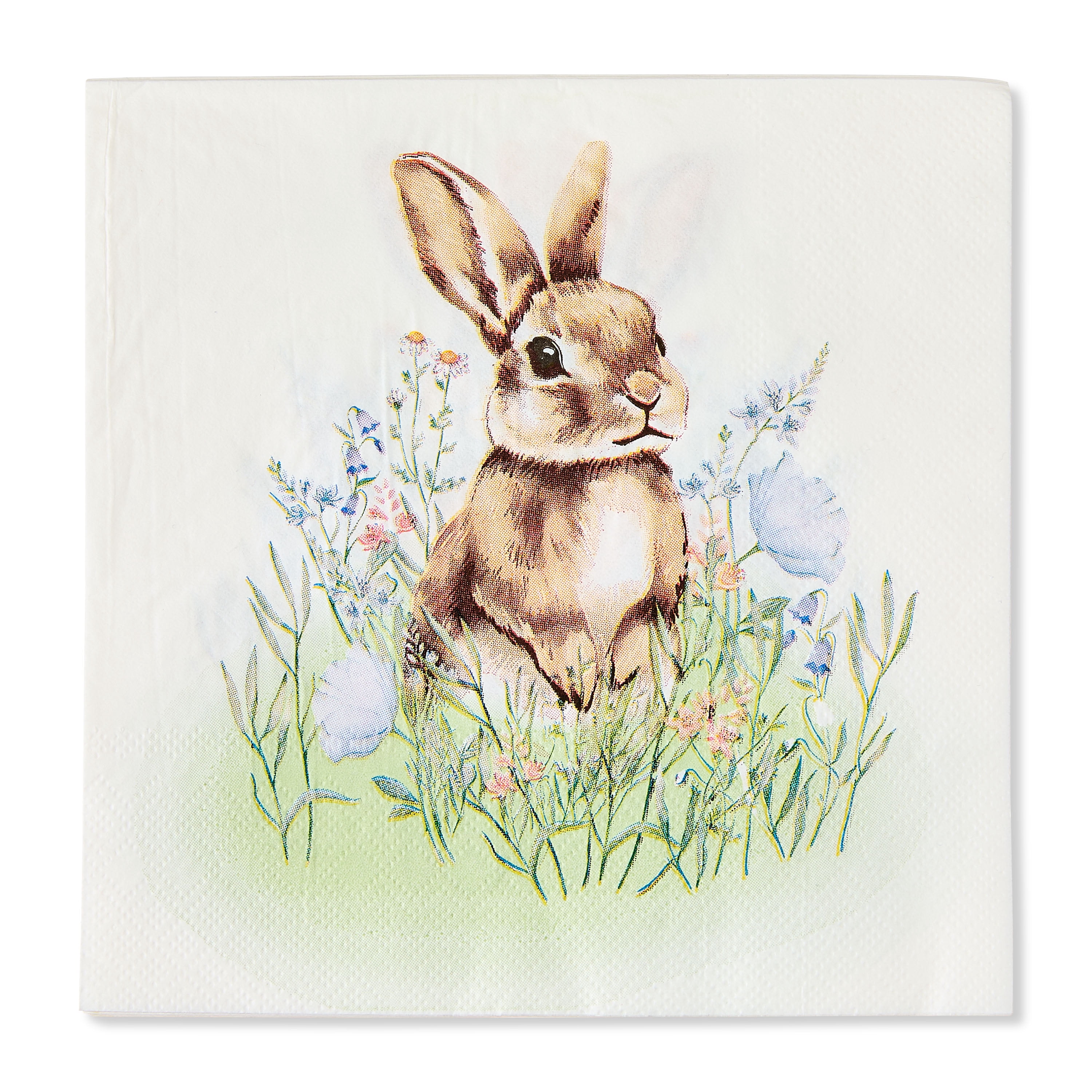 6.5" x 6.5" Multicolor Bunny Paper Napkins, 16 Count, Easter by Way To Celebrate