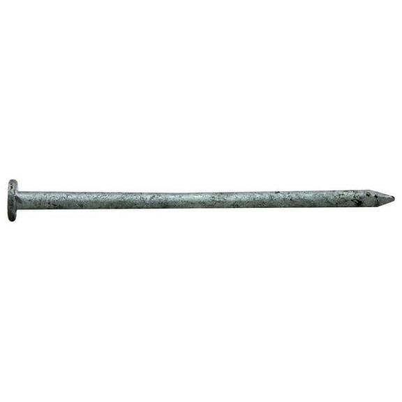 16D x 3.5 in. Pro Nail Common Gal, 1 lbs
