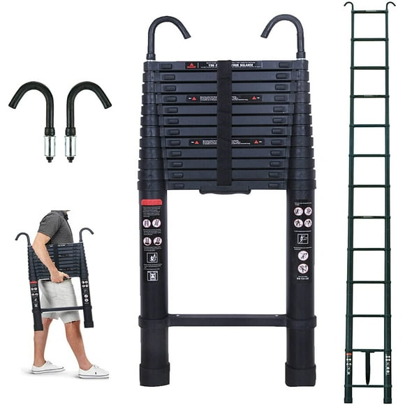 16ft Ladder