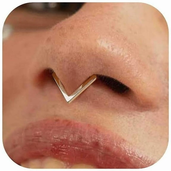 16G Gold/Silver Triangle Septum Rings Piercings - 316L Stainless Steel Nose Rings Hoops CZ Nostril Piercing Jewelry Clicker Hoop Daith Conch Tragus Rook Earring for Women Men 6/8/10mm