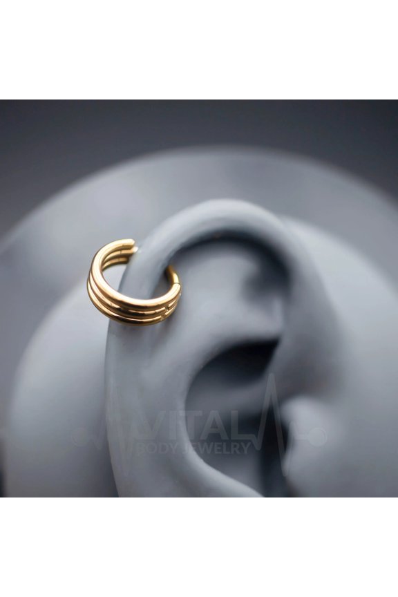 16G Triple Layered Hinge Ring - Segment Hoops - Seamless Clicker for Helix, Ear Lobe, Nostril and Septum - Black, Gold, Rose Gold and Silver