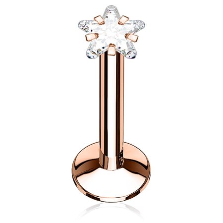 16GA Star CZ Prong Set Top 316L Surgical Steel Internally Threaded Labret Monroe Cartilage Stud
