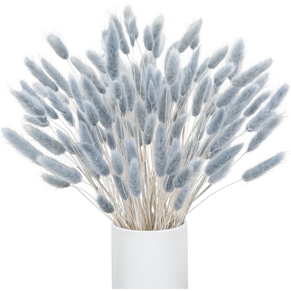 16IN 120pcs Bunny Tails Dried Flowers Grey Blue Pampas Grass Rabbit Tails Dried Flowers Bulk Natural Lagurus Ovatus for Dried Floral Arrangement Home Boho Wedding Party Decor(NO Vase)