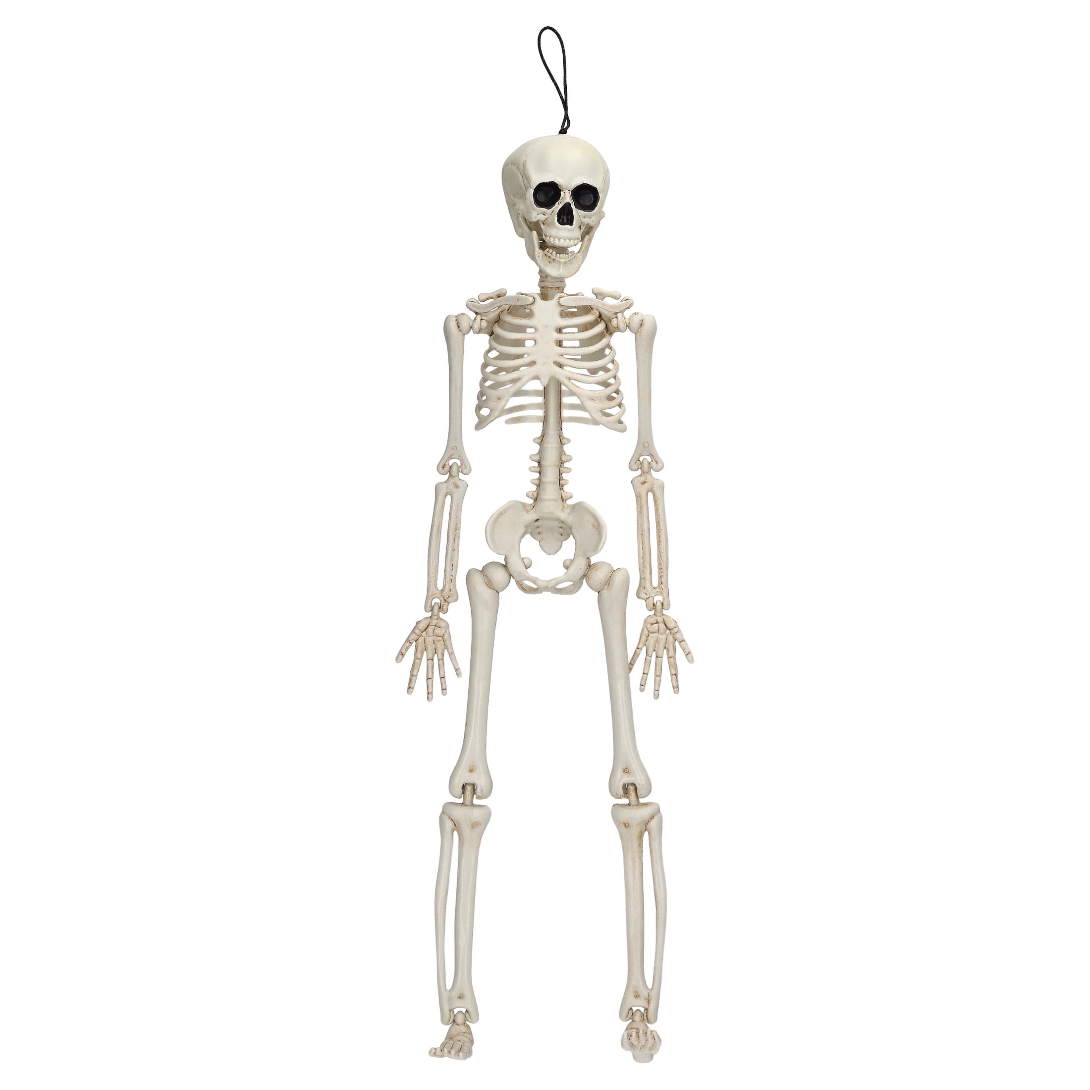 Hanging Faux Skeleton Decoration, White, 16", Halloween by Way To Celebrate