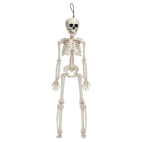 Hanging Faux Skeleton Decoration, White, 16", Halloween by Way To Celebrate