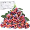thumbnail image 1 of 16PCS Artificial Roses with Box Silk Flowers Fake Roses Real Touch Bouquet Long Stem for Home Wedding Party Garden Decoration（Rainbow2）, 1 of 5