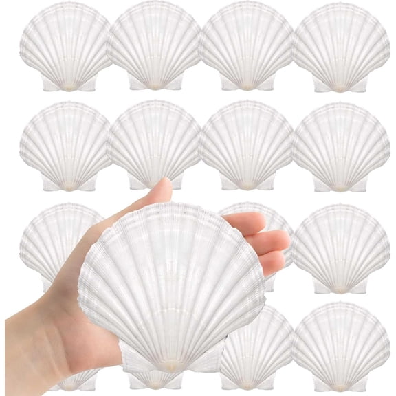 16PCS Large Natural Sea Shells 4''-5'' White Scallop Shells for DIY Craft Making, Baking, Hand Painting, Ocean Themed Party and Home Decor