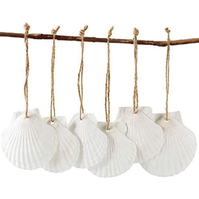 Sinkoo 16 Pcs Sea Shells Christmas Tree Ornaments, 2.5"-3.5" Natural Scallop Shells White, Beach Themed Hanging Deocr for Xmas Tree Home Wedding Party