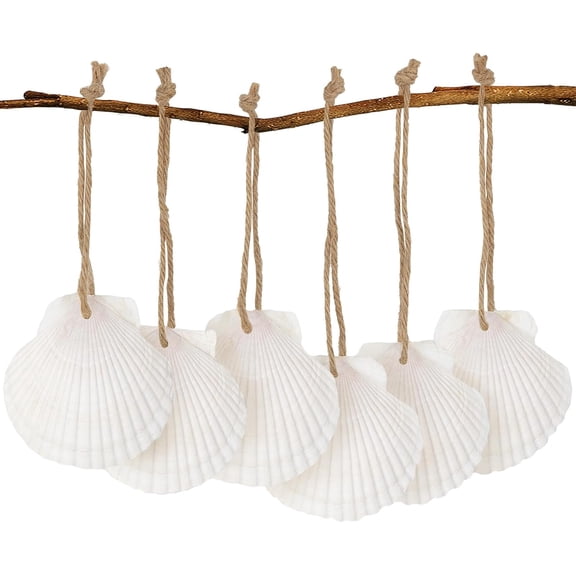 16PCS Scallop Shells for Crafts 2.5"-3.5", Shells with Holes for Ornaments