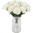 thumbnail image 1 of 16PCS White Carnations Artificial Flowers 14.8'' Fake Carnation Silk Flowers with Stems Faux Carnations Flowers for Home Table Centerpiece Wedding Decor Floral Arrangements (Ivory White), 1 of 14