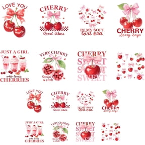16Pcs 16 Styles Plastic Heat Transfer Film Logo Stickers Set for DIY T-Shirt Cherry 80-220x65-180mm 1pc/style for DIY