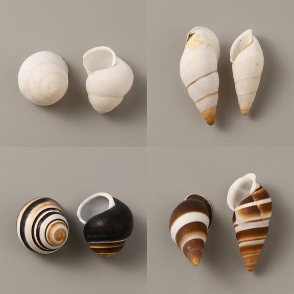 16Pcs 4 Style Snail Shell Hermit Crabs Replacement Shells for Vase Filler Beach Theme Party DIY Craft Home Decor