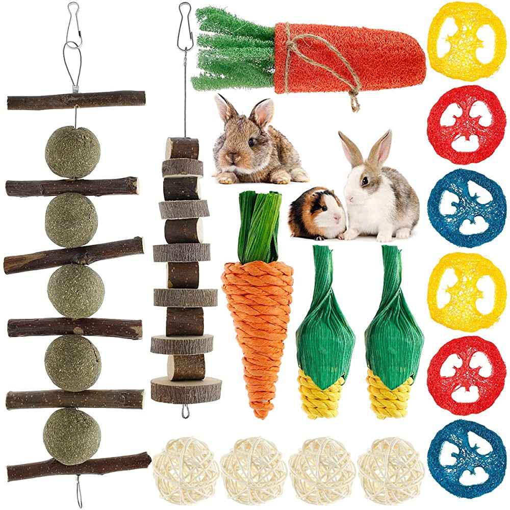 16Pcs Rabbit Chew Toys Set Natural Bunny Chew Toys for Teeth Rabbit ...