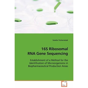 16S Ribosomal RNA Gene Sequencing (Paperback)