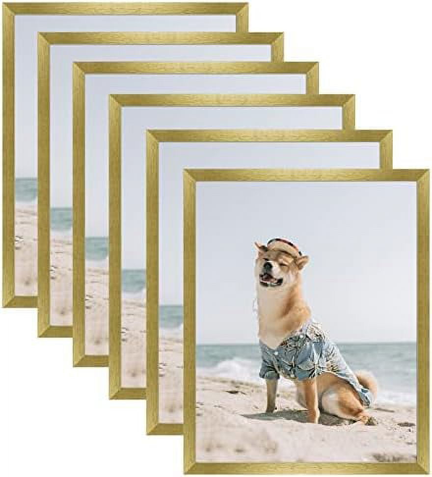 16X20 Picture Frames In Gold, Set Of 6, Display Pictures 11X14 With Or